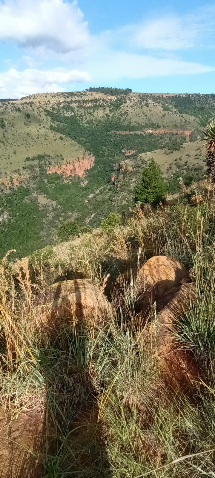 Elands River Falls - Image 1