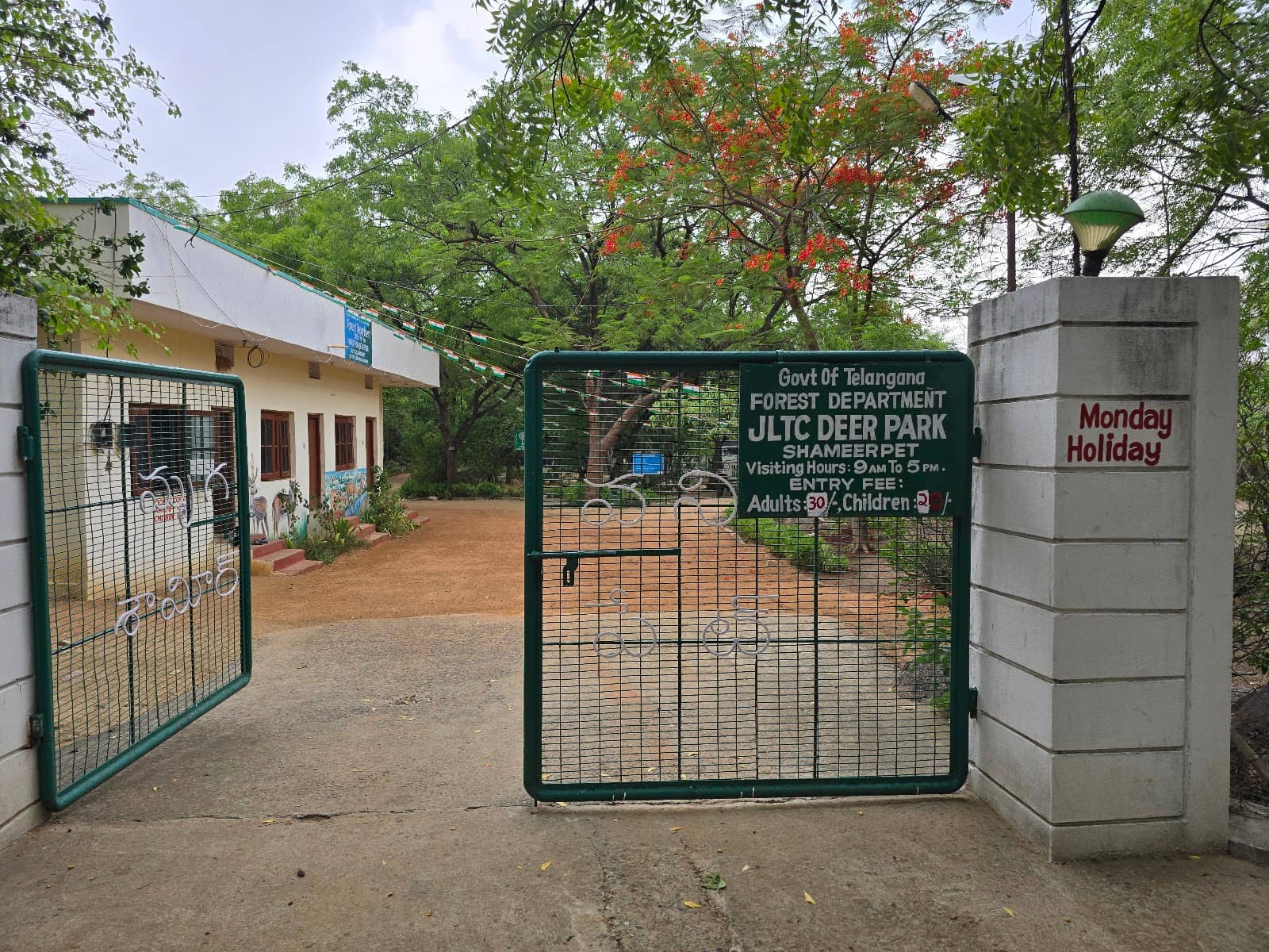 Children's Play Area