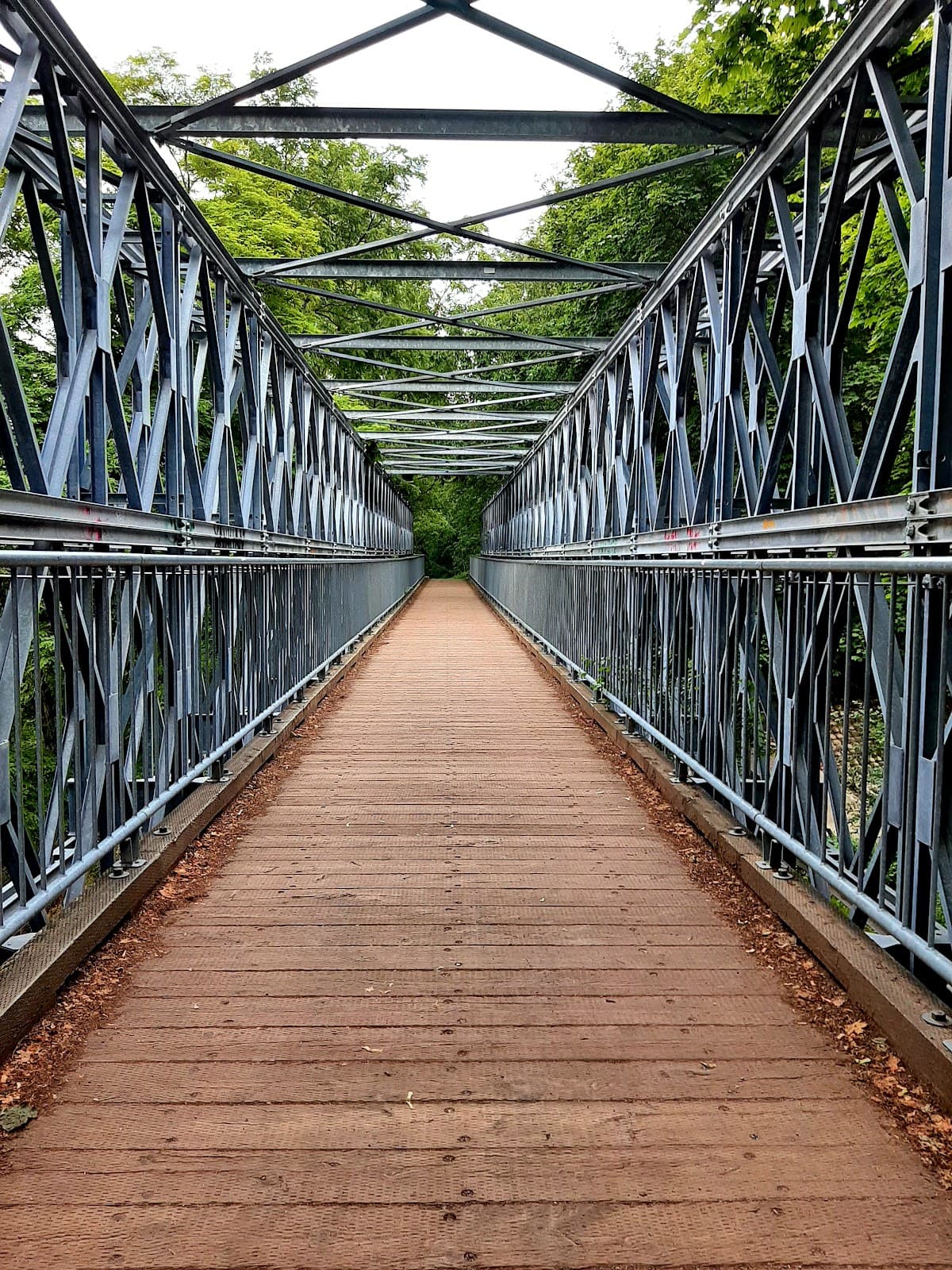 Chedoke Radial Trail Hamilton - Image 1