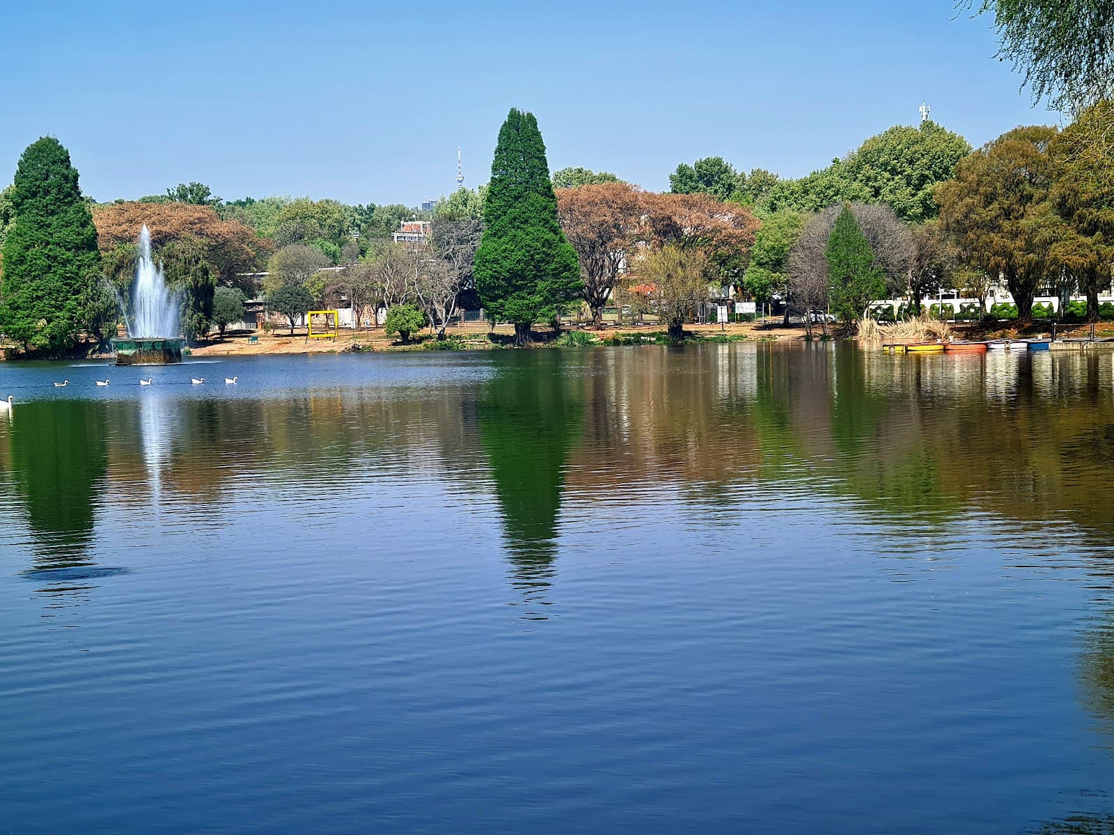 Zoo Lake Johannesburg - Image 1