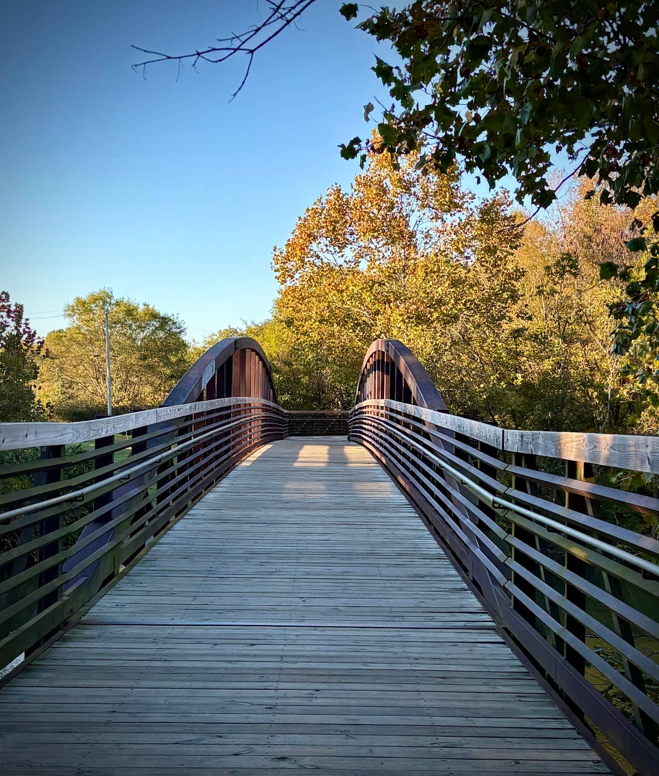 Scenic Greenway Trails