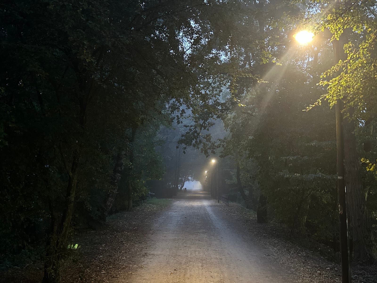 Nero Wandeling - Image 1