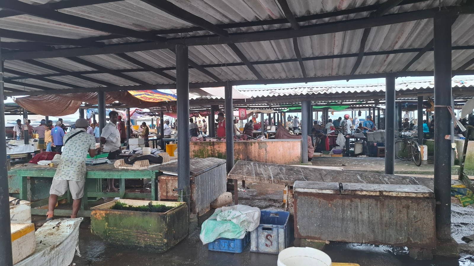 Skilled Fish Cutting