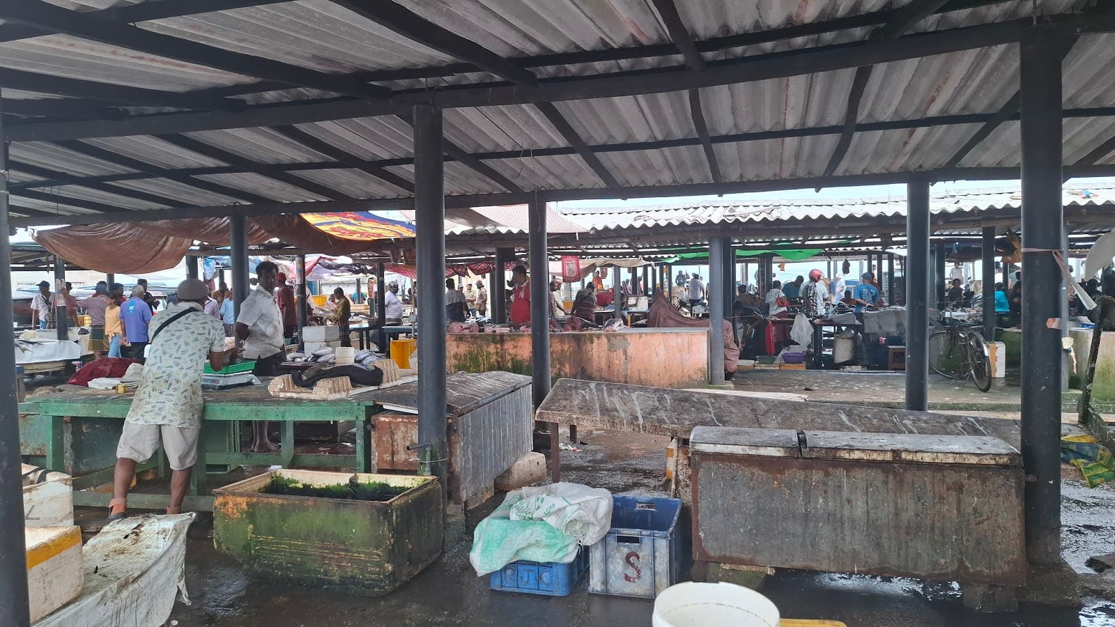 Negombo Fish Market - Image 1