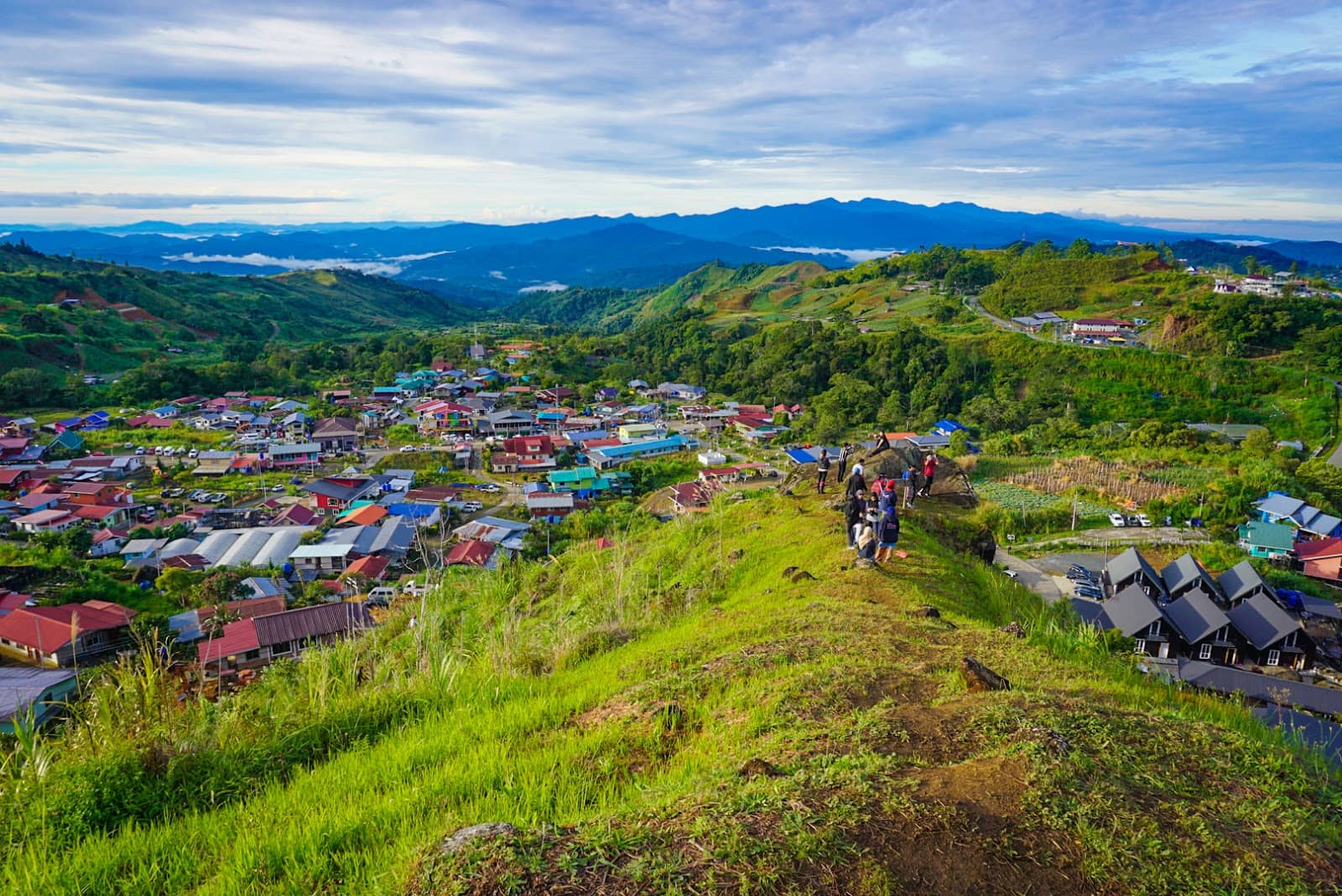 Mesilau Strawberry Farm