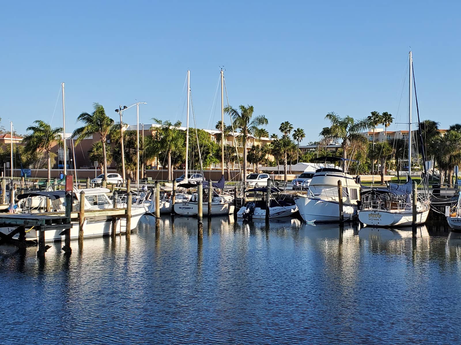Clearwater Marine Aquarium