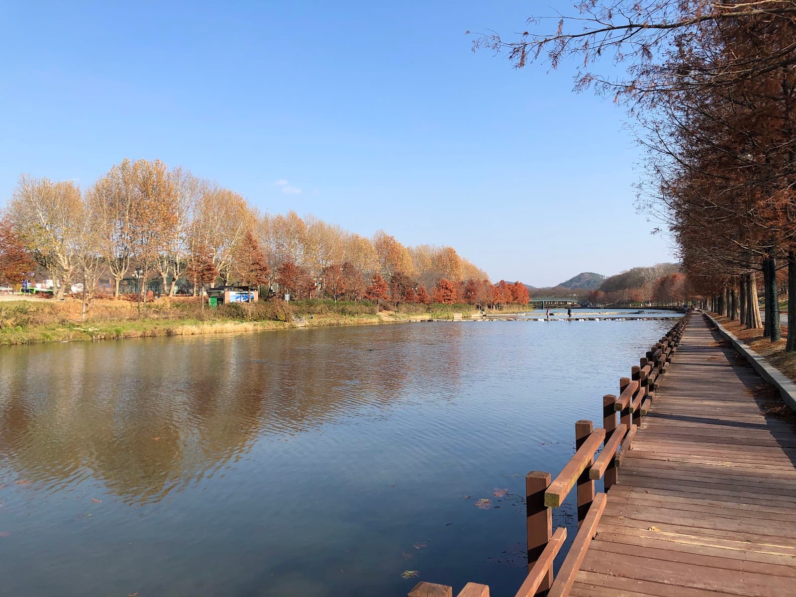 Gwanbangjerim Forest - Image 1