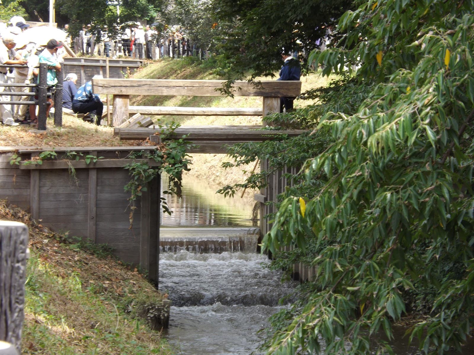 Minuma Tsusen-bori Canal - Image 1