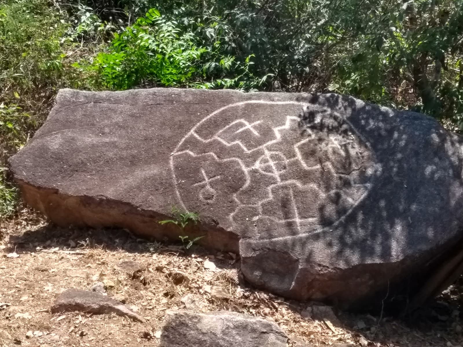 Palma Sola Archaeological Site - Image 1