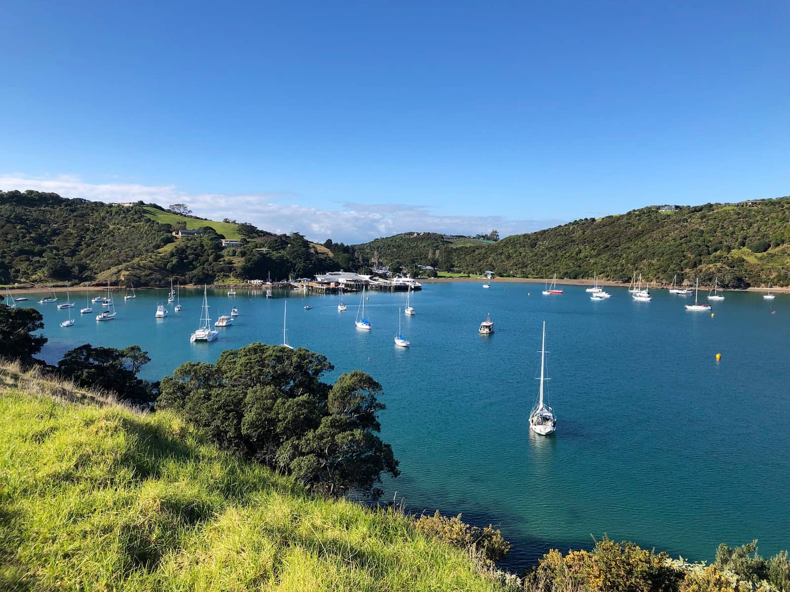 Vineyard & Luxury Home Vistas