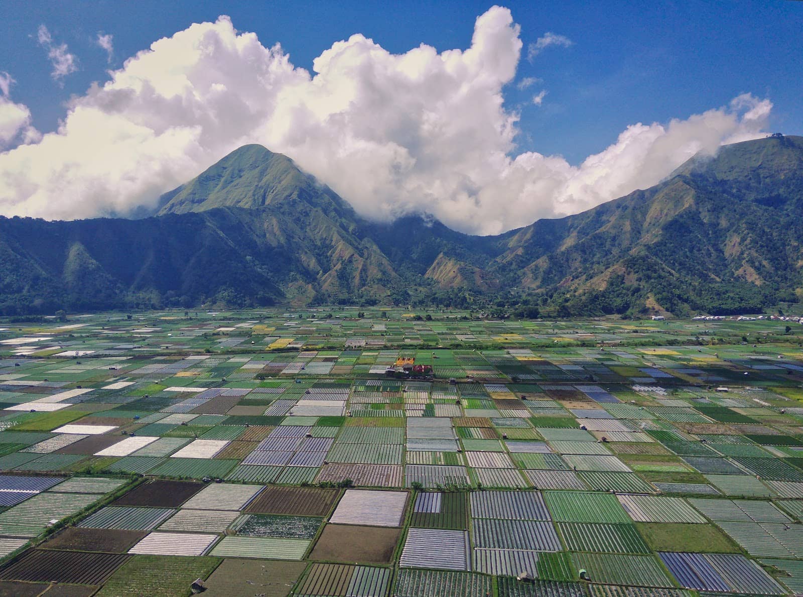 Taman Bunga Sembalun