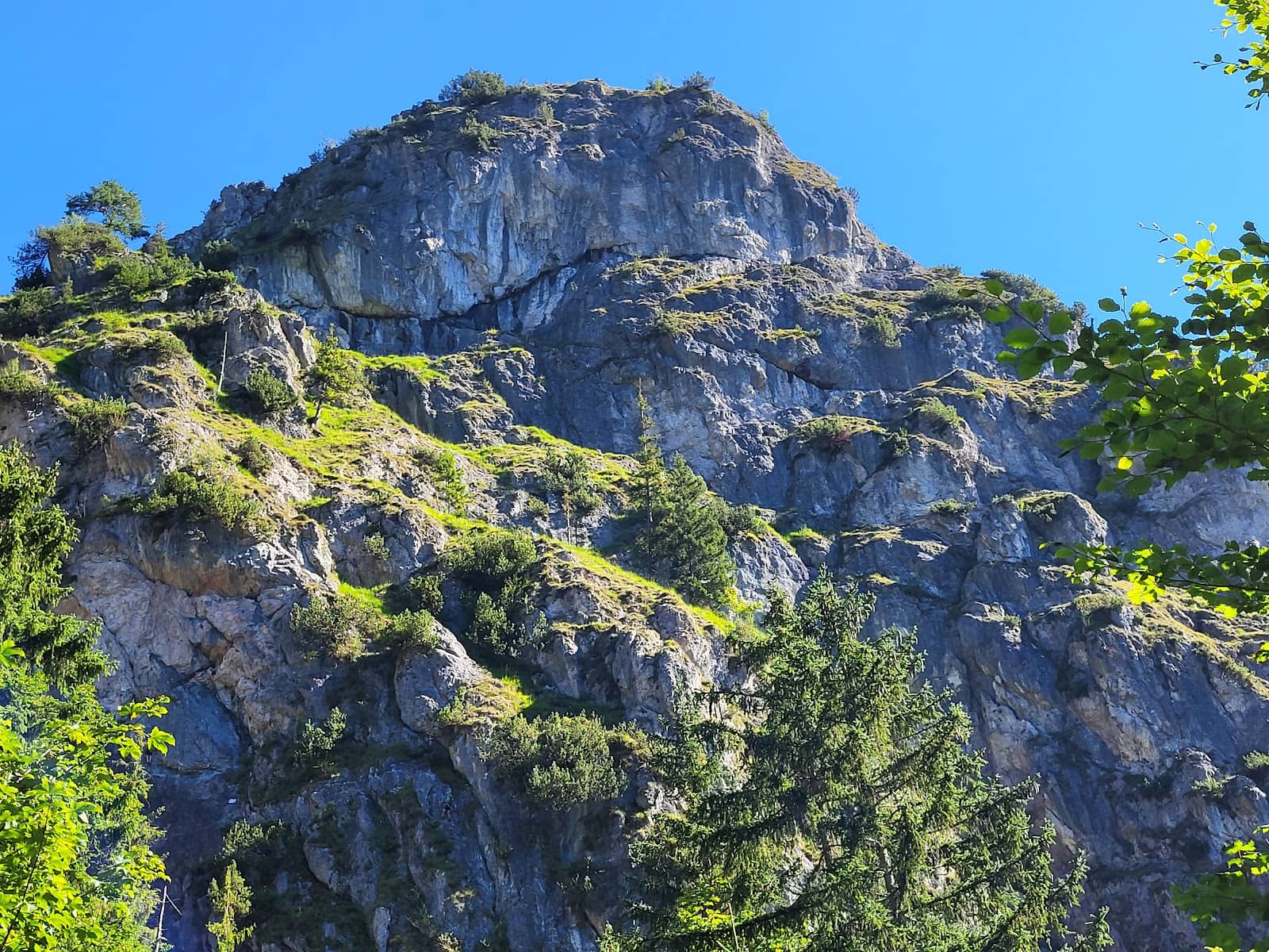 Vertical photo