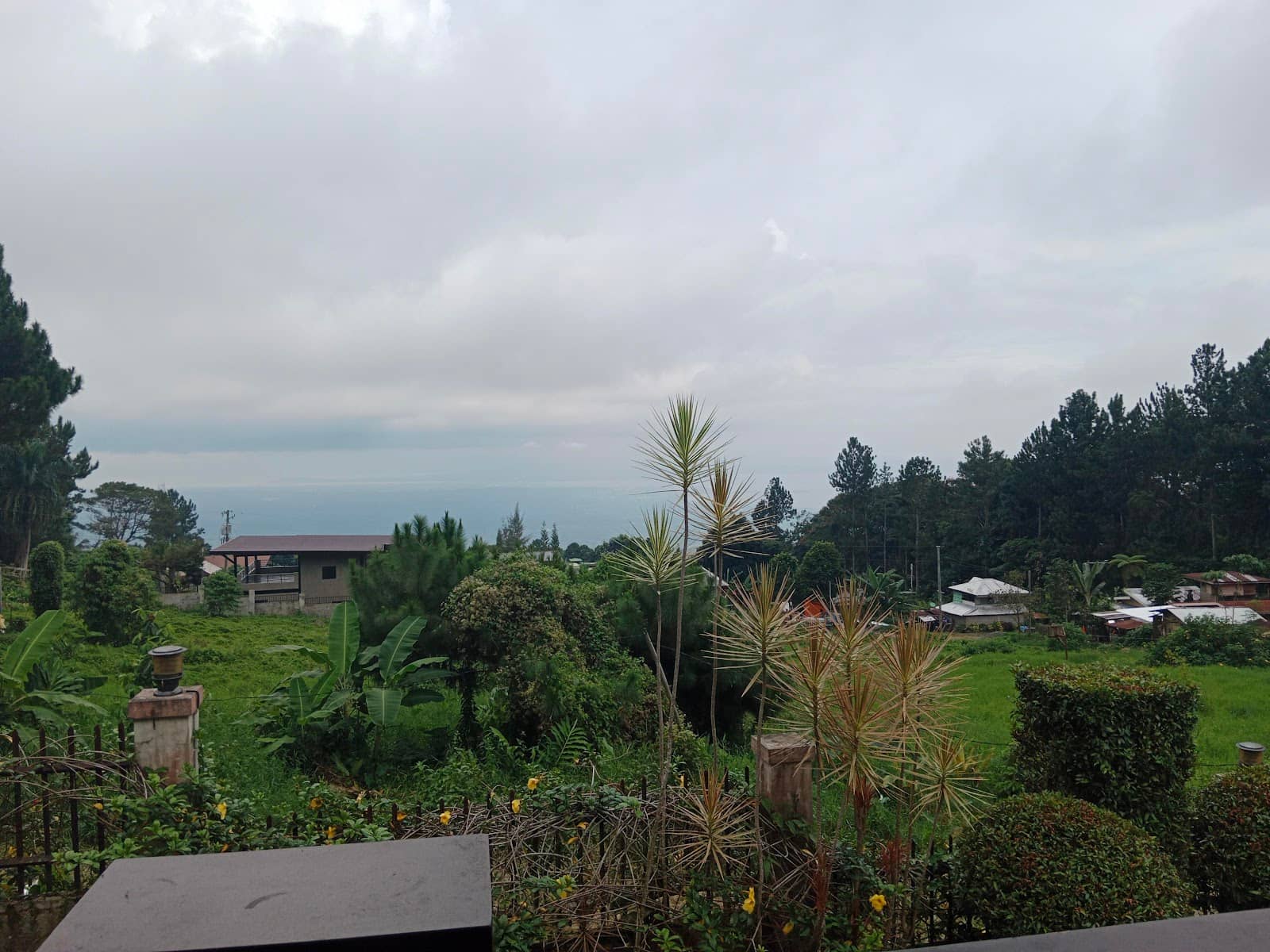 Buffet Dining in Toril