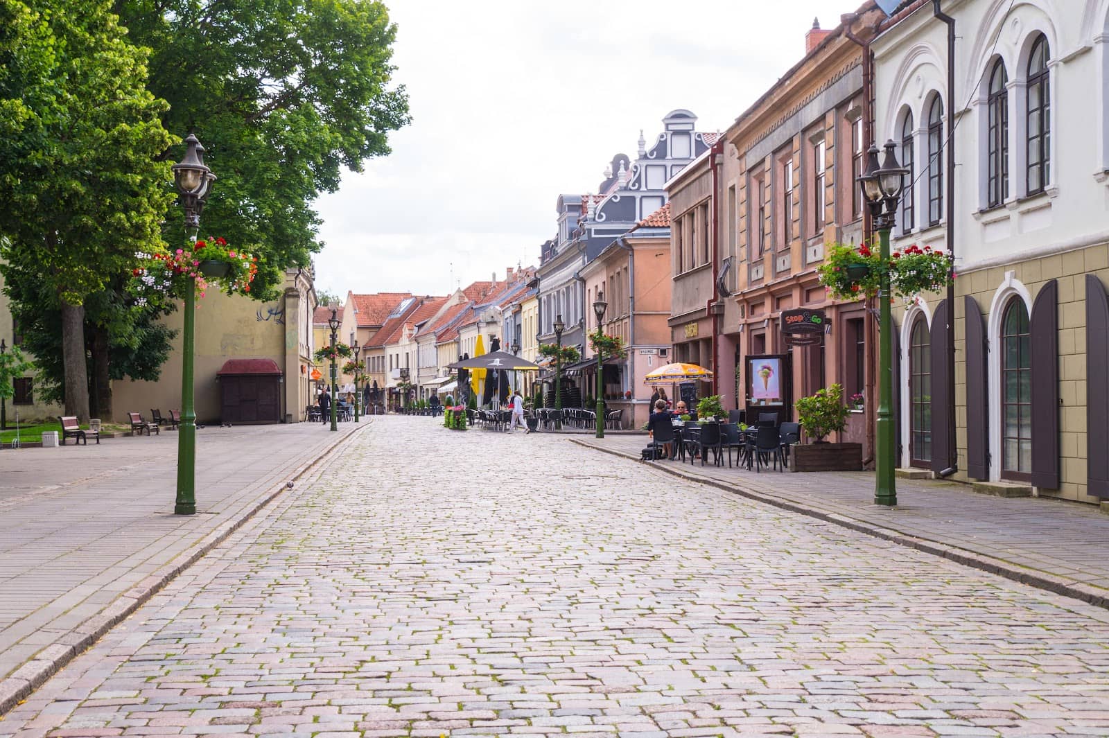 Local Cafes and Shops