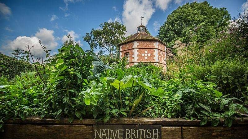 Hellens Manor (Much Marcle) - Image 1