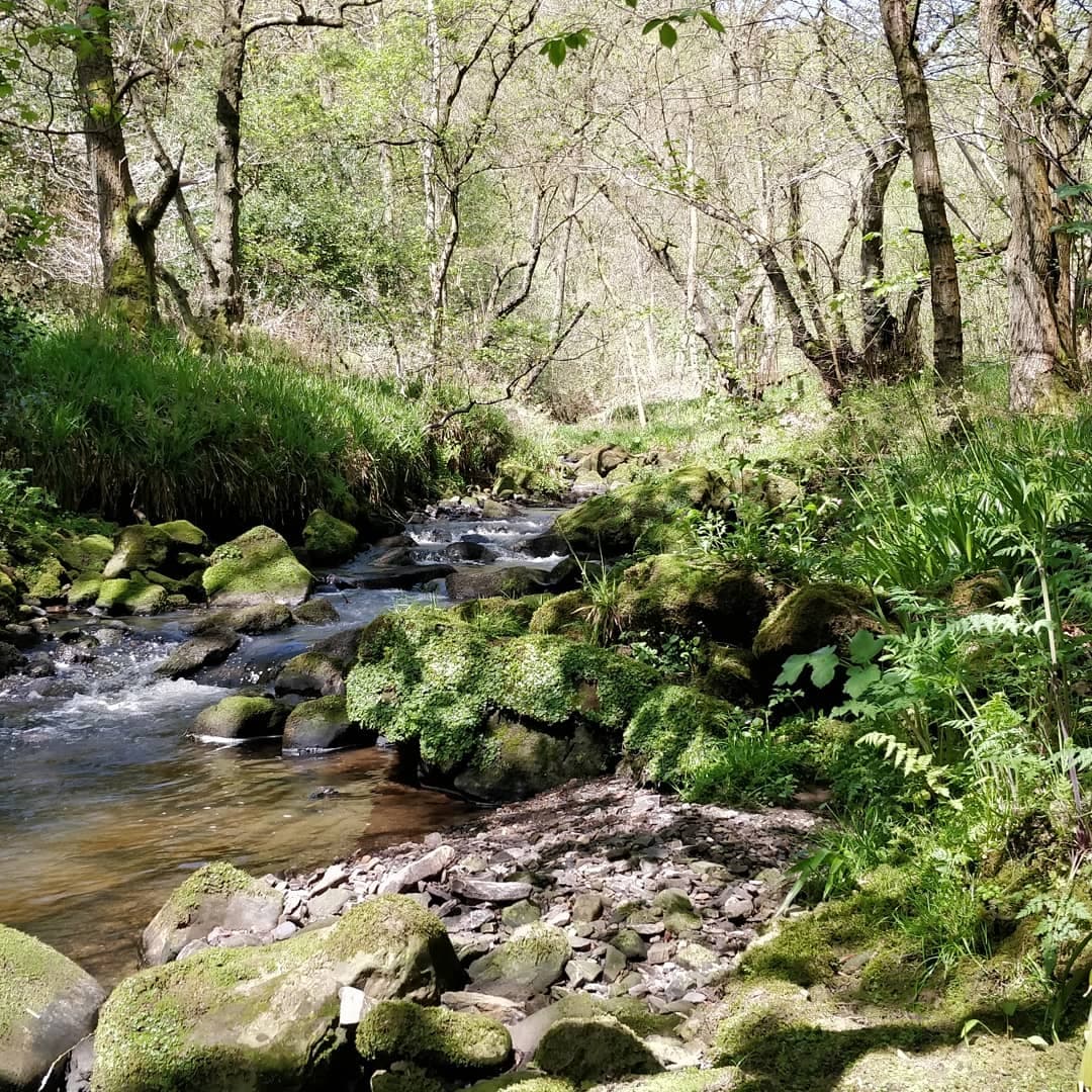 RSPB Coombes Valley - Image 1