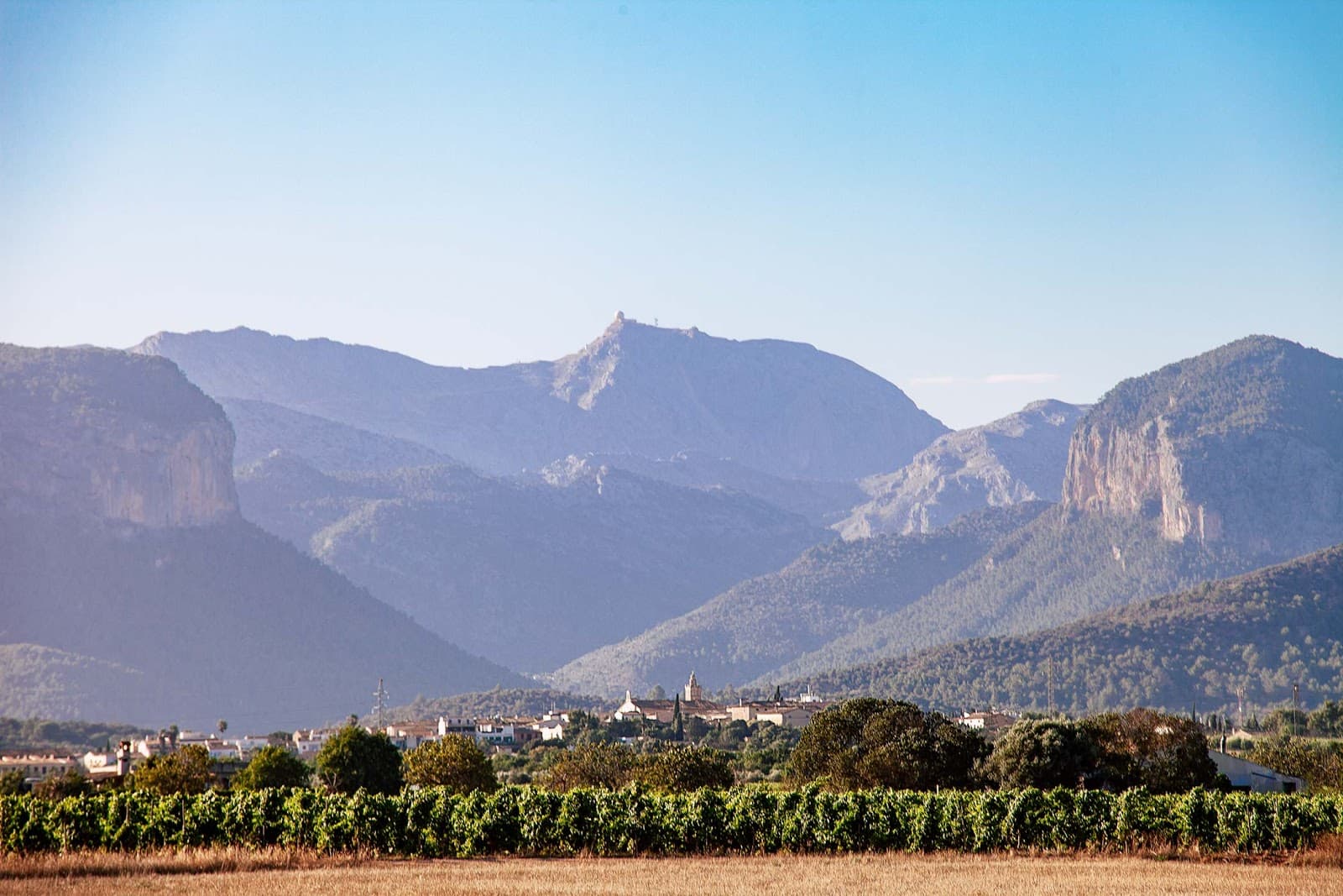 Binissalem Wine Route - Image 1