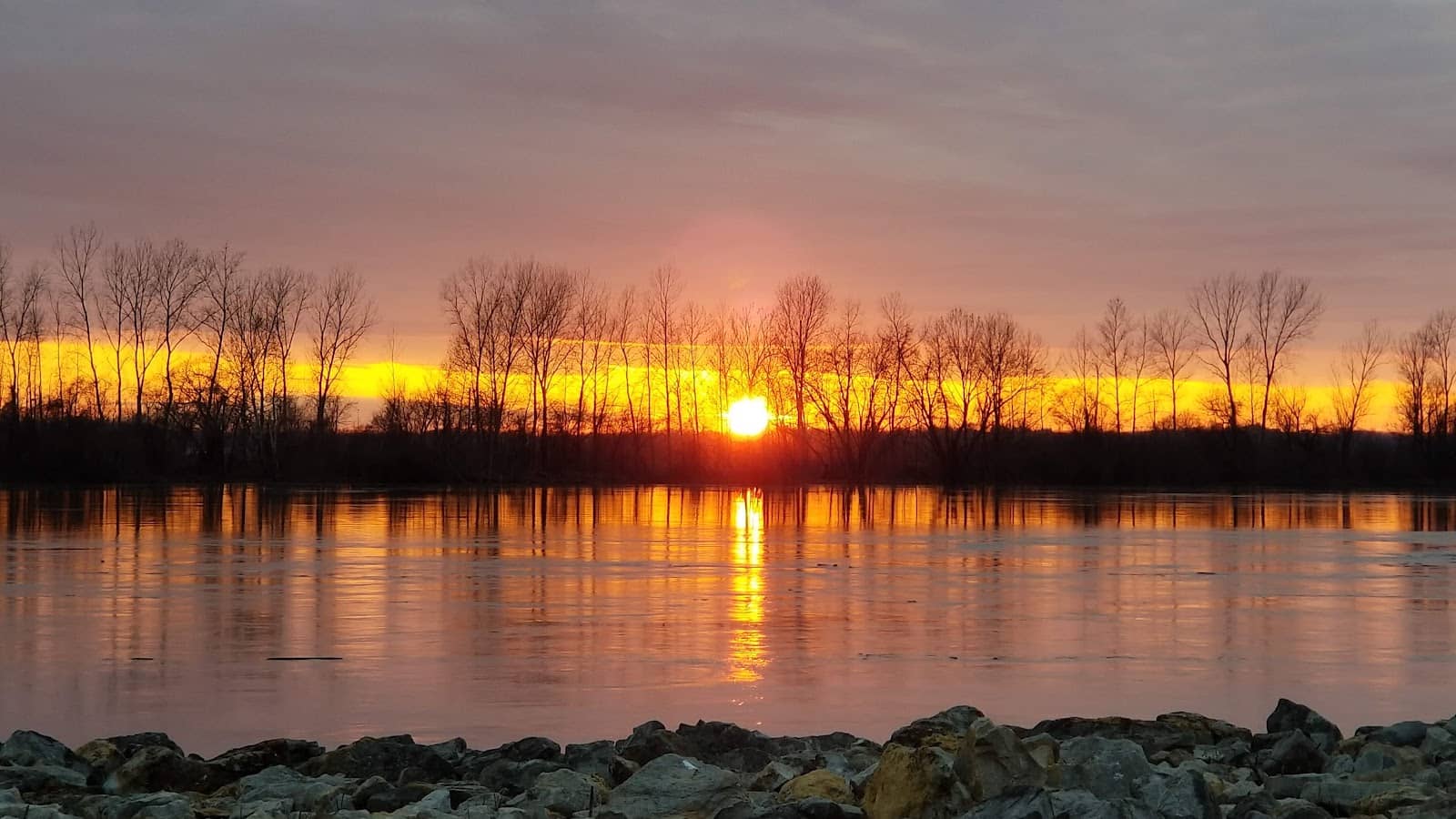 Artistic Butterfly Sculpture