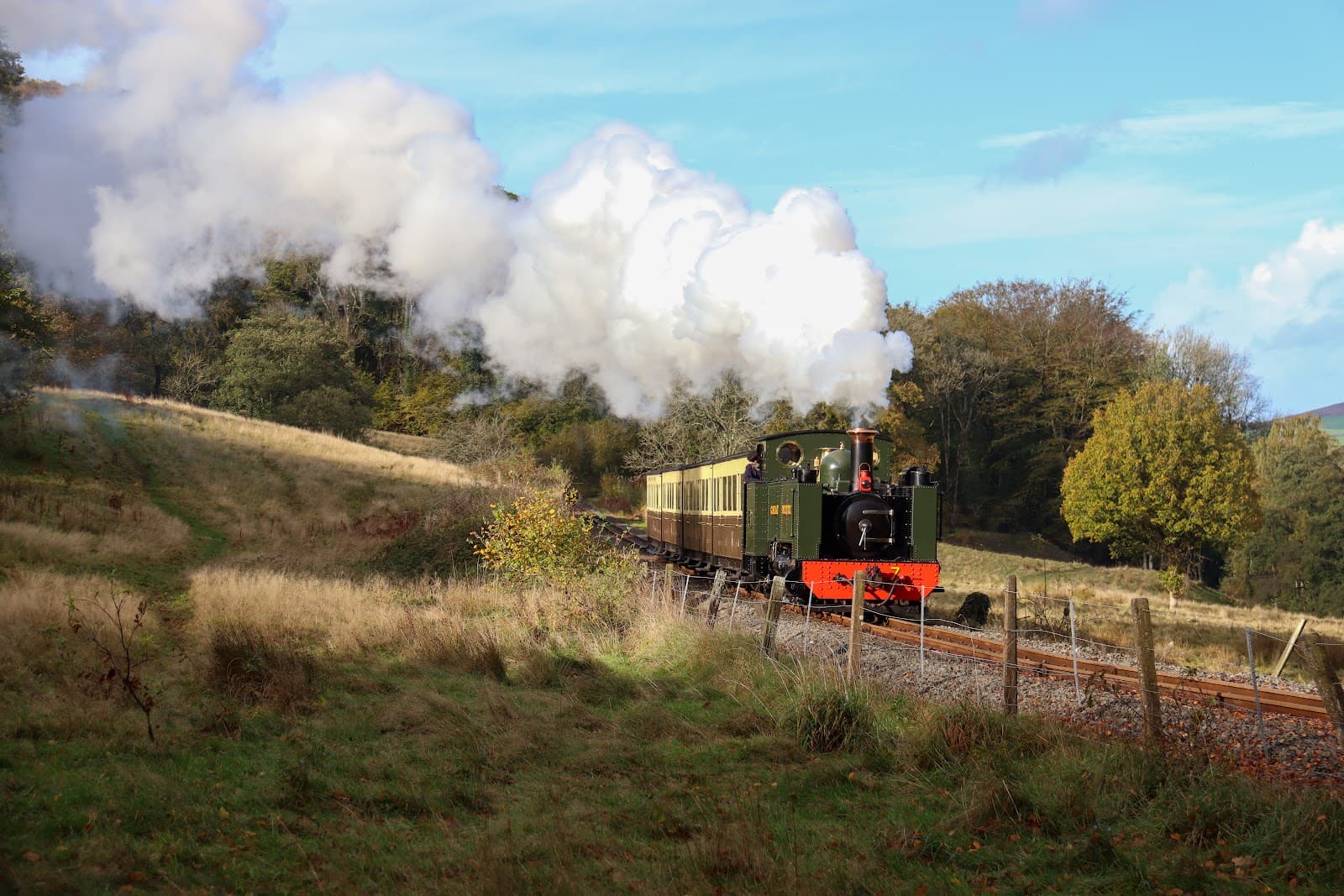 Vale of Rheidol Railway - Image 1