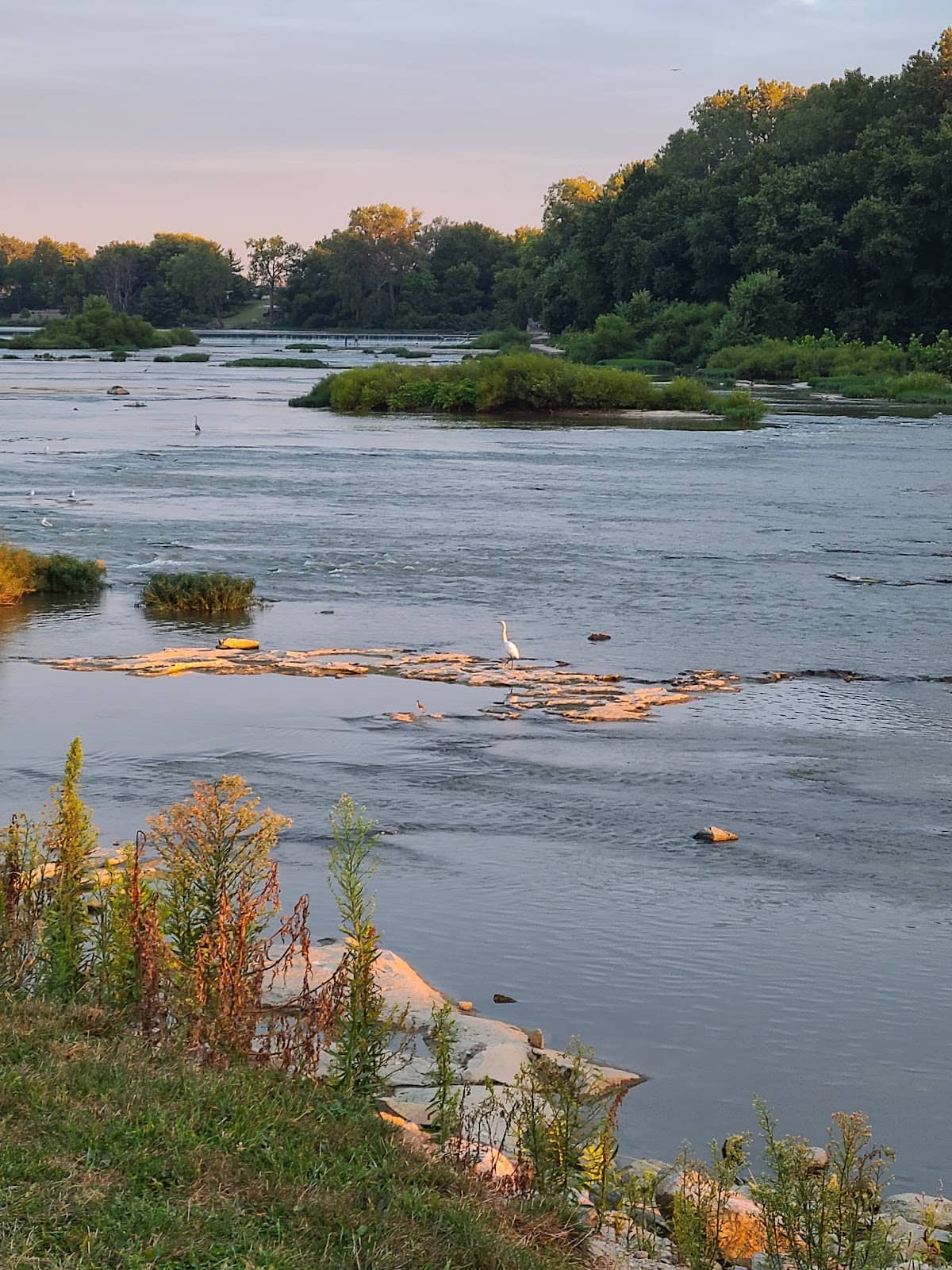 Local Shops and Boutiques