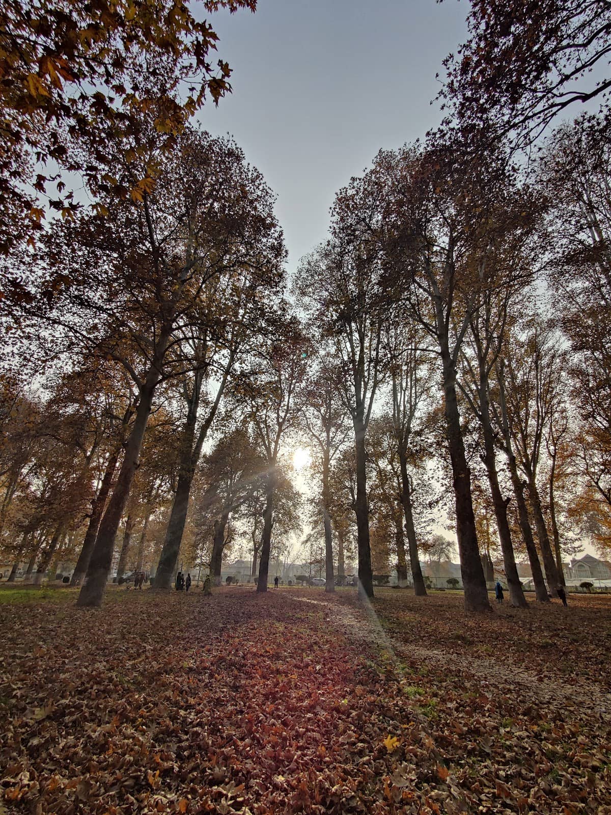 Mughal Garden Heritage