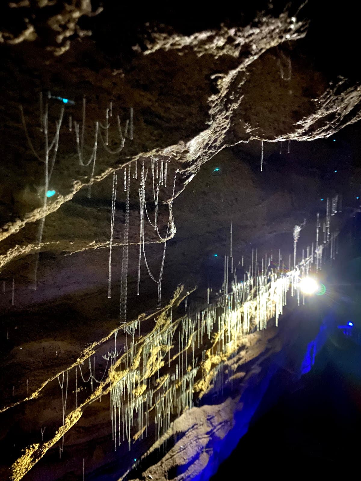 Ruakuri Cave Waitomo - Image 1