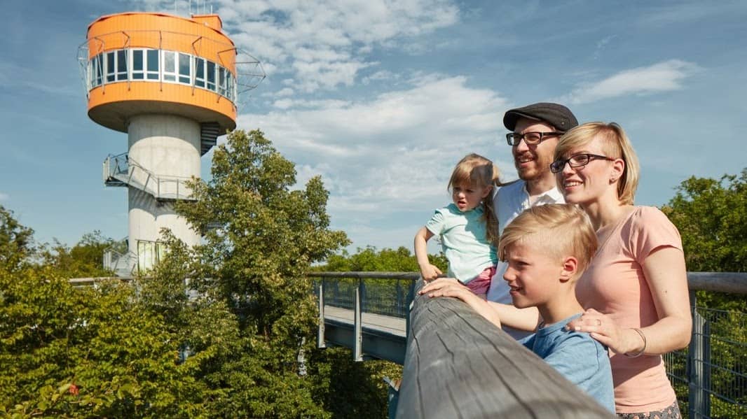 Forest Museum & Exhibitions