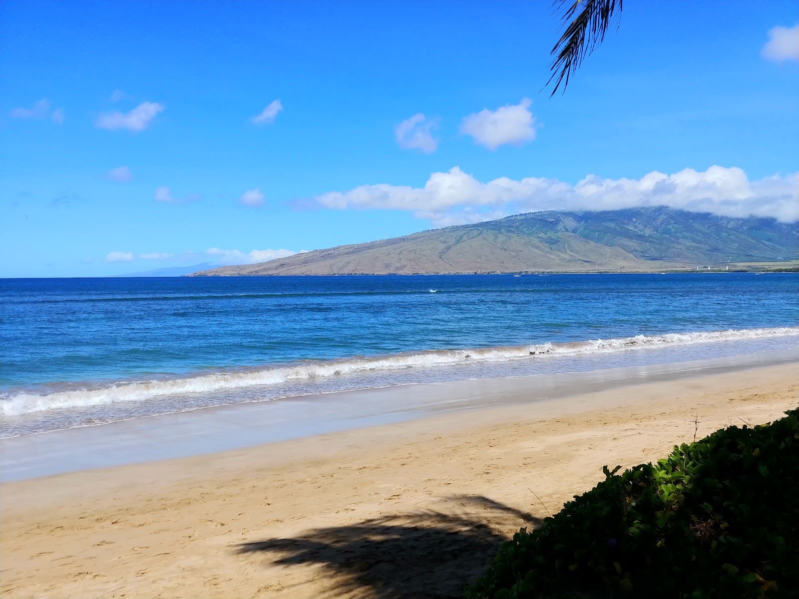 Mai Poina 'Oe Ia'u Beach Park - Image 1