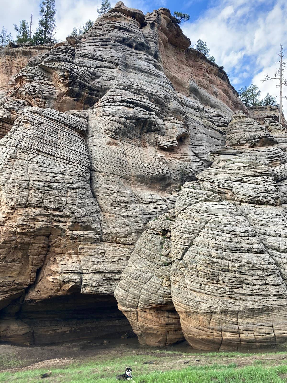 Walnut Canyon Exploration