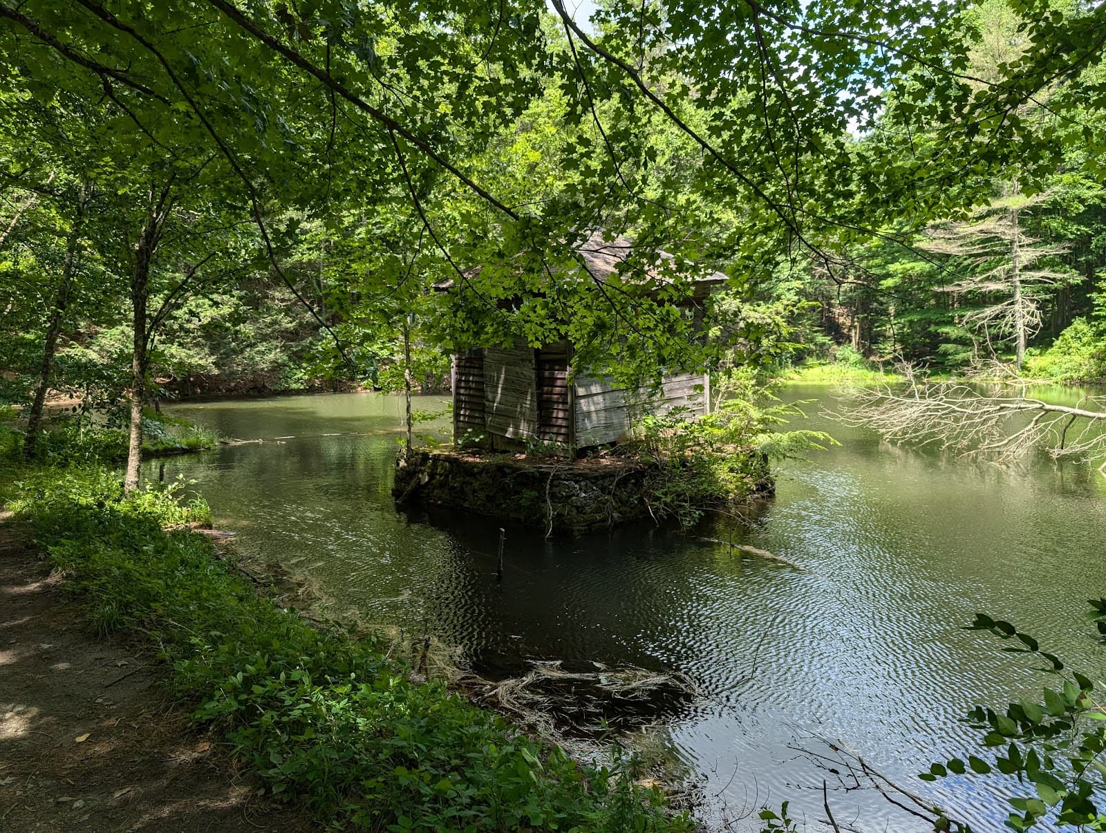 Yokun Ridge Reserve - Image 1