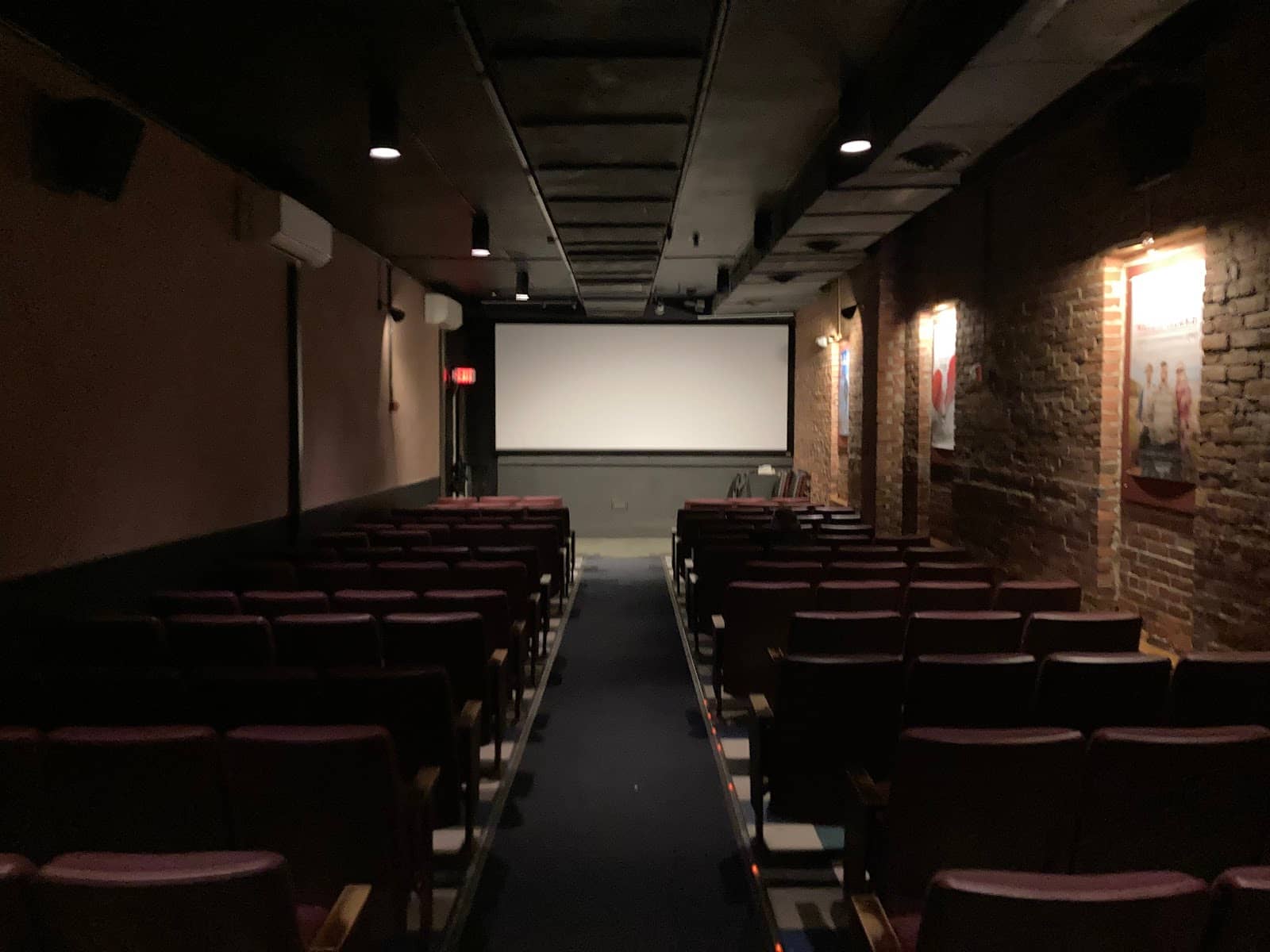 Art-House Cinema Screenings