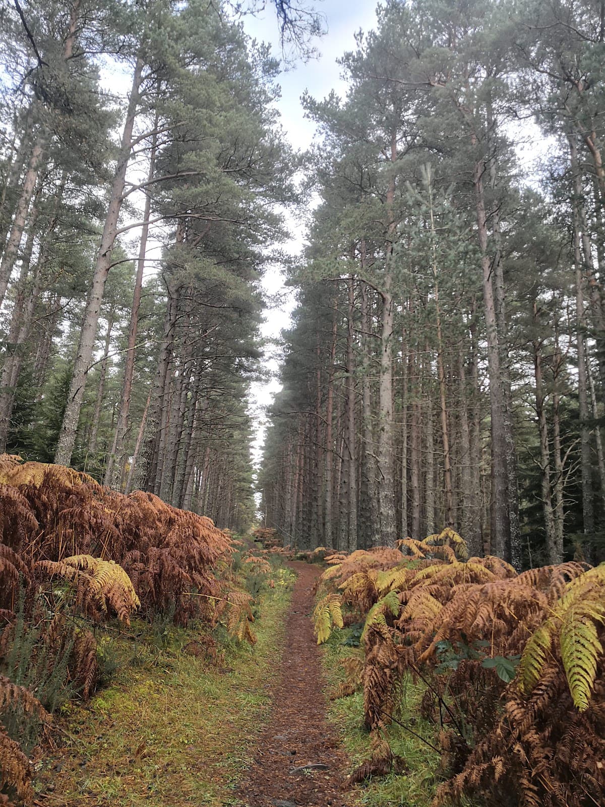 Ord Hill - Image 1