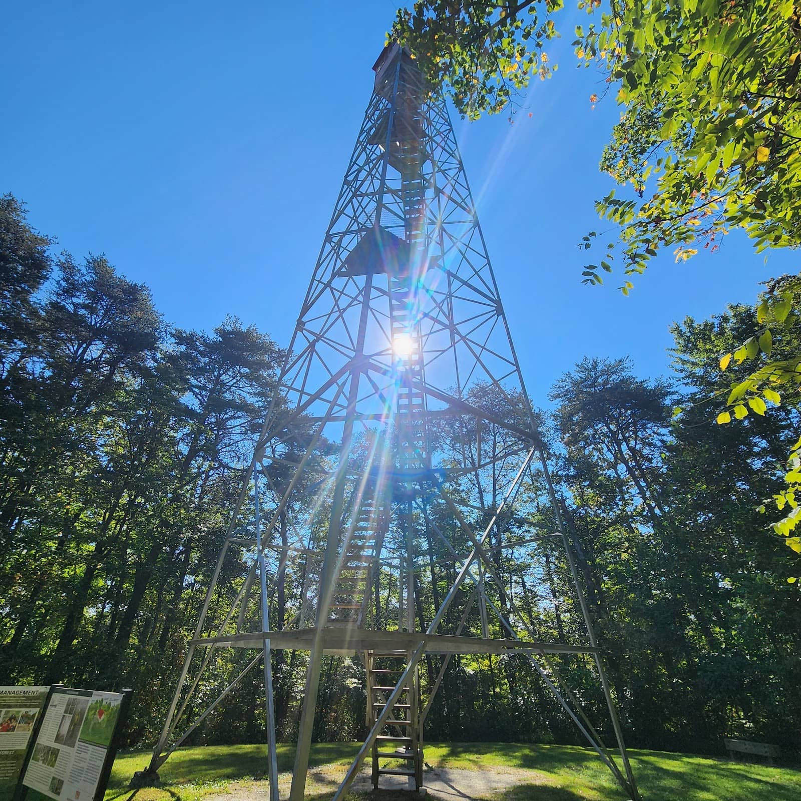 Blue Buckeye Trail Access