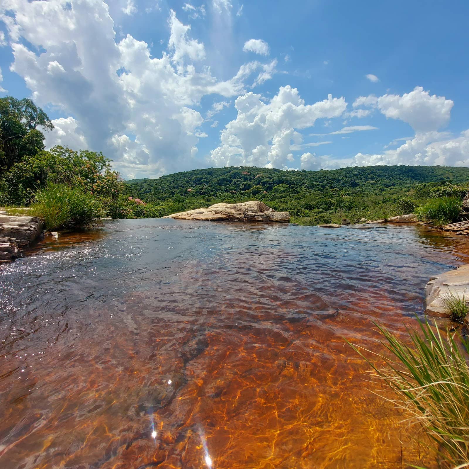 Nature's Serene Ambiance