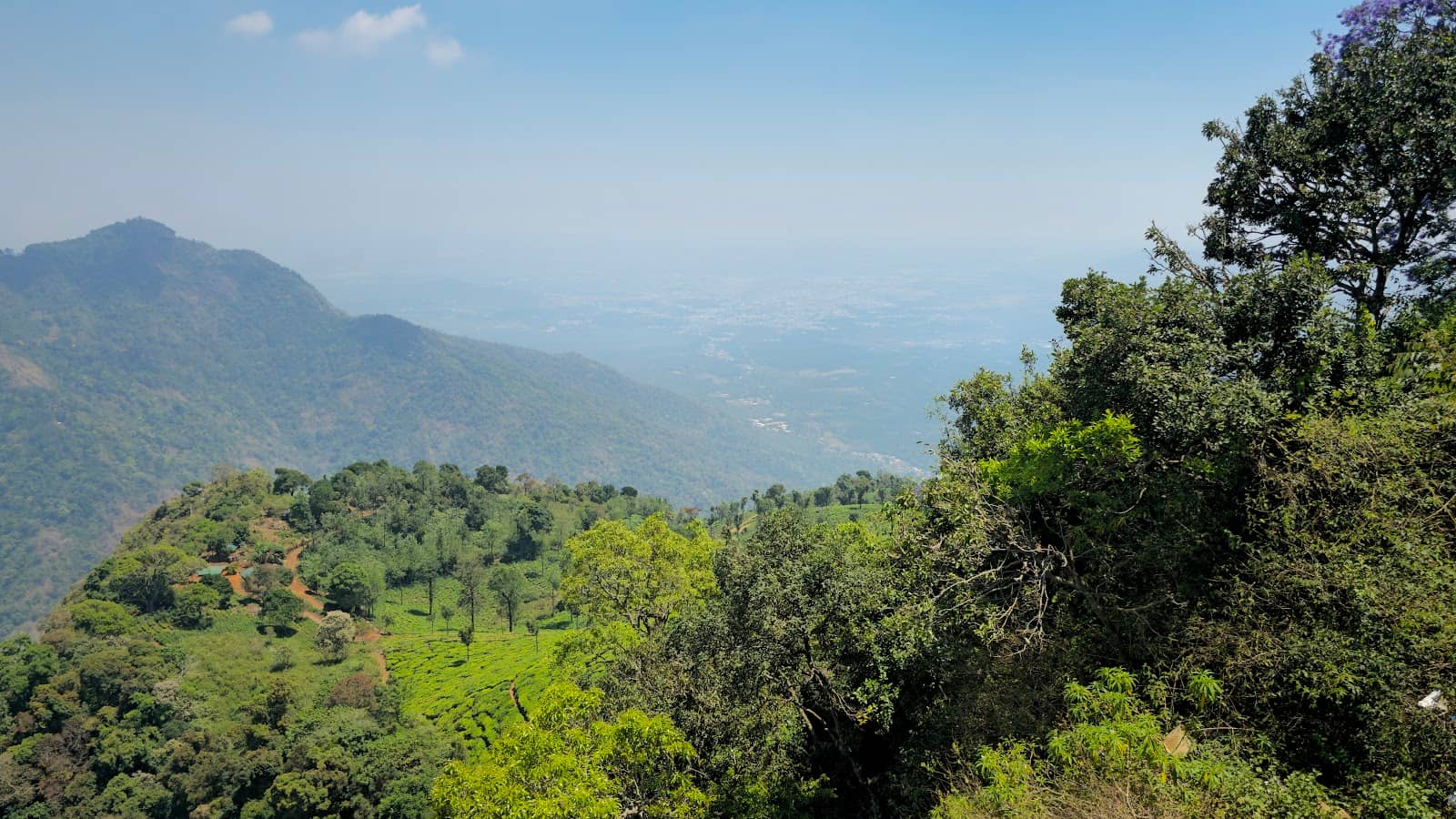 Panoramic Nilgiri Valley Views