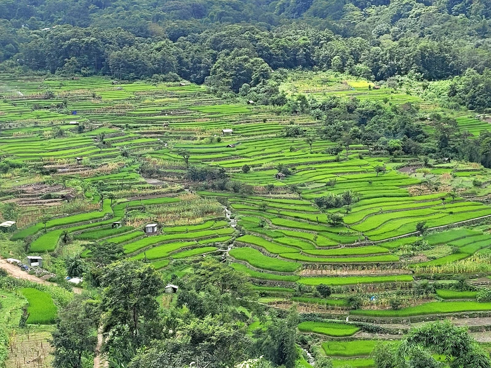 Khonoma Green Village - Image 1