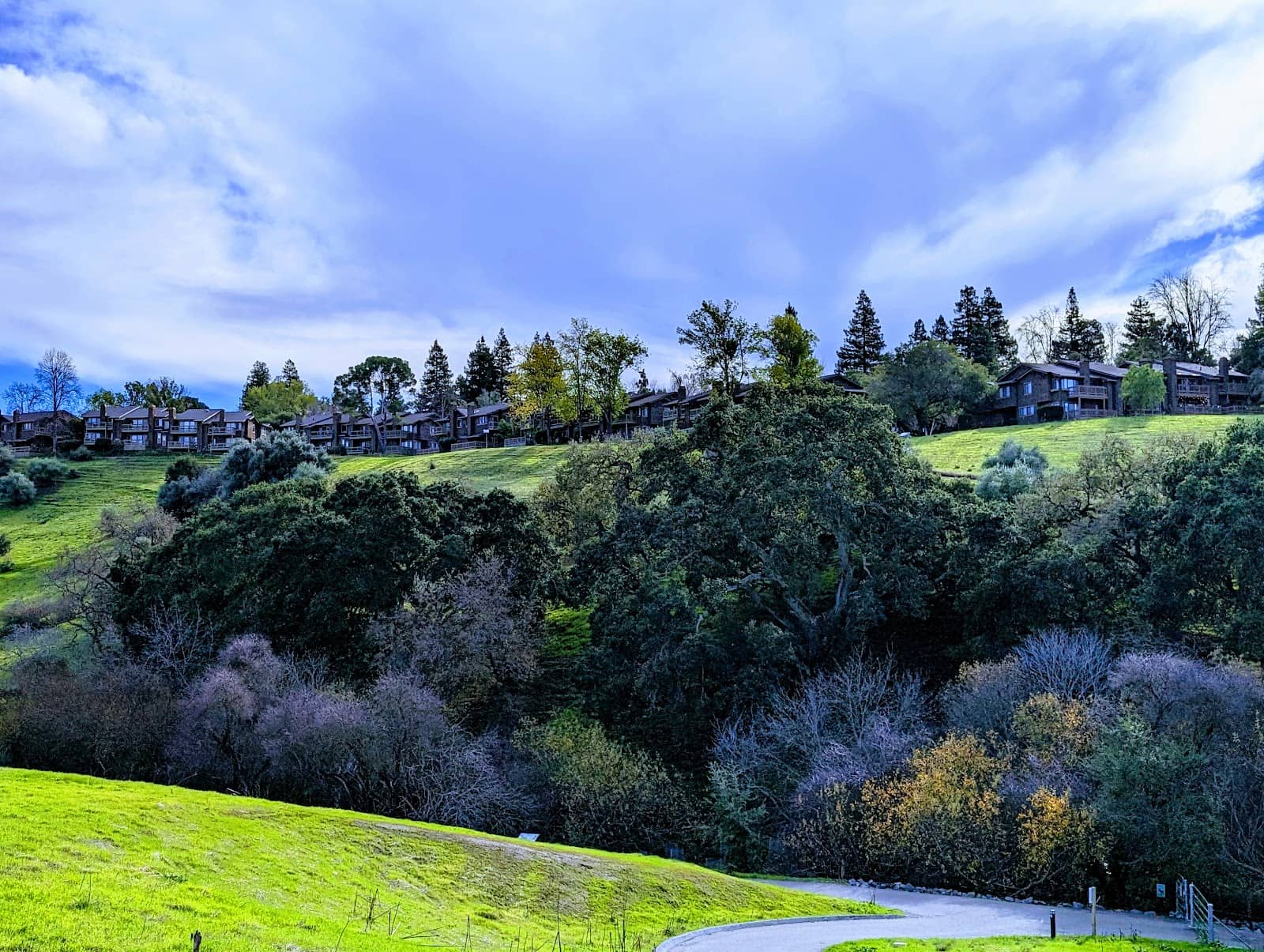 Family-Friendly Trails