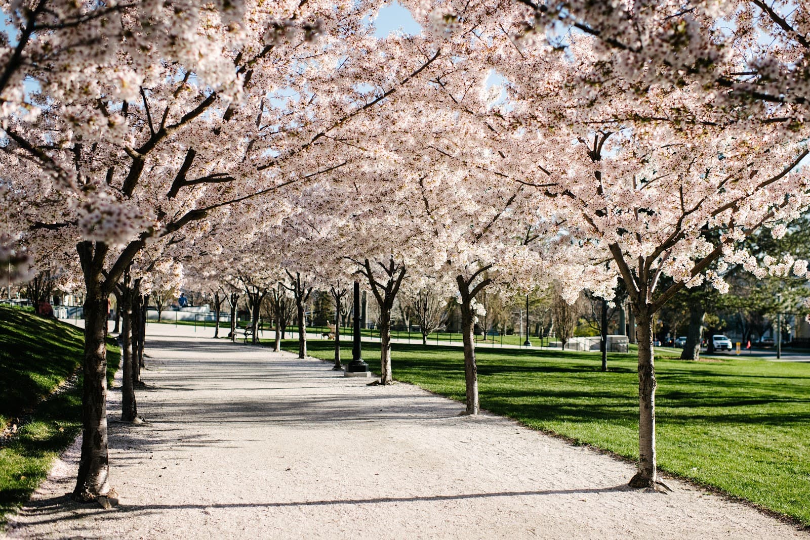 Marmalade neighborhood - Image 1