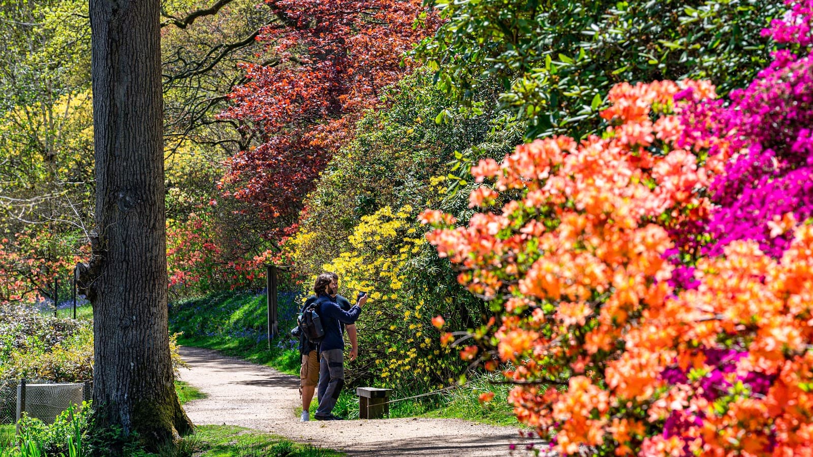 Leonardslee Lakes & Gardens - Image 1