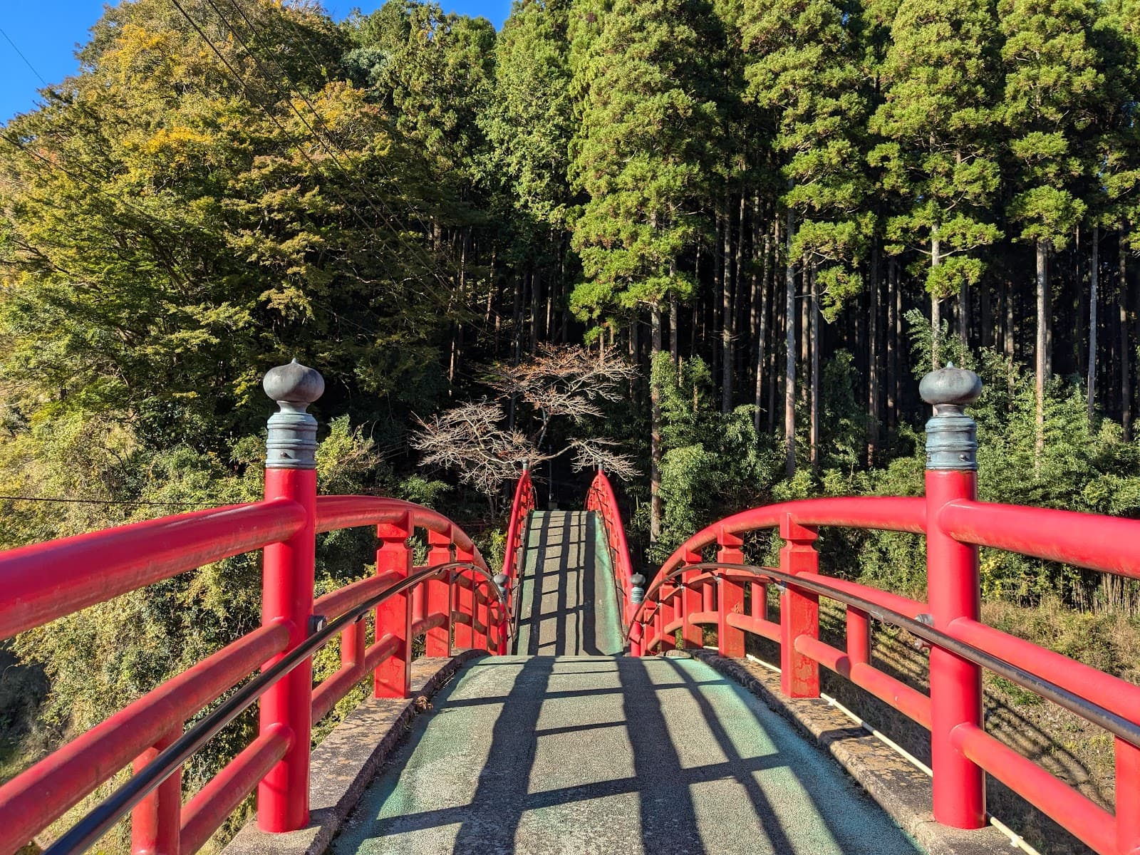 Yoro Keikoku - Image 1