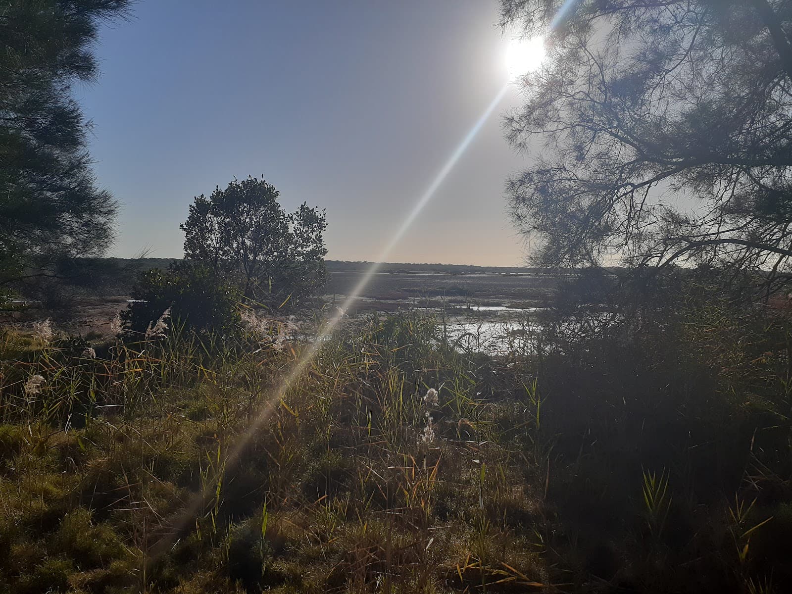 Geoff Skinner Wetlands - Image 1