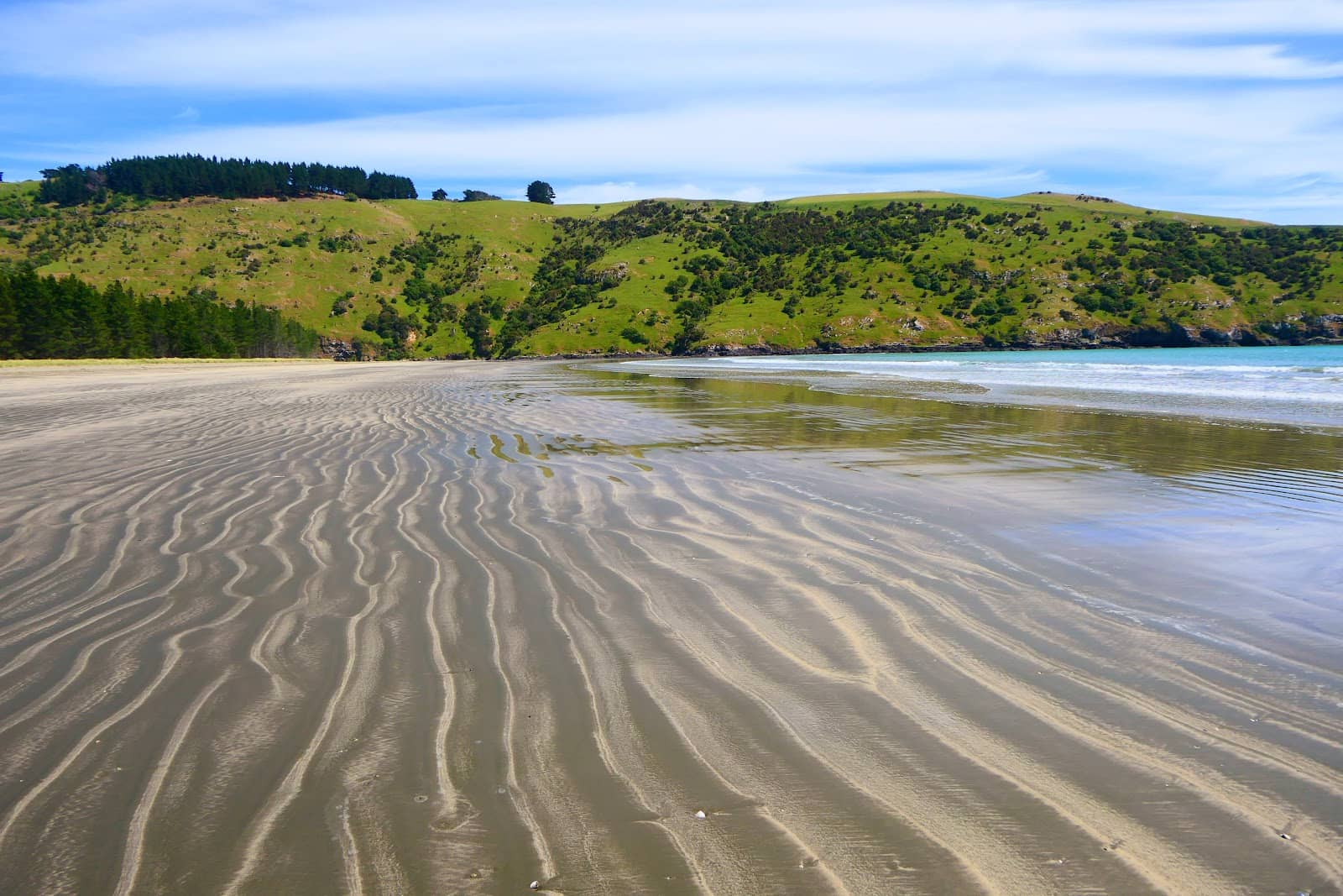 Scenic Banks Peninsula Drive
