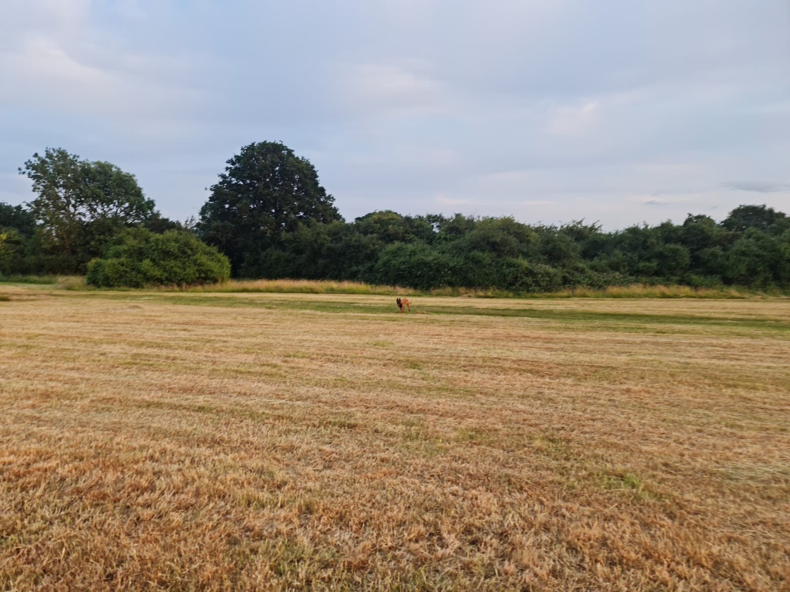 Hutton Country Park - Image 1