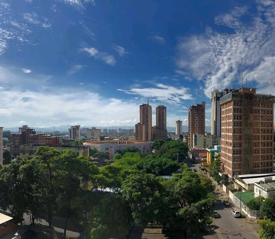 Avenida José Félix Rivas