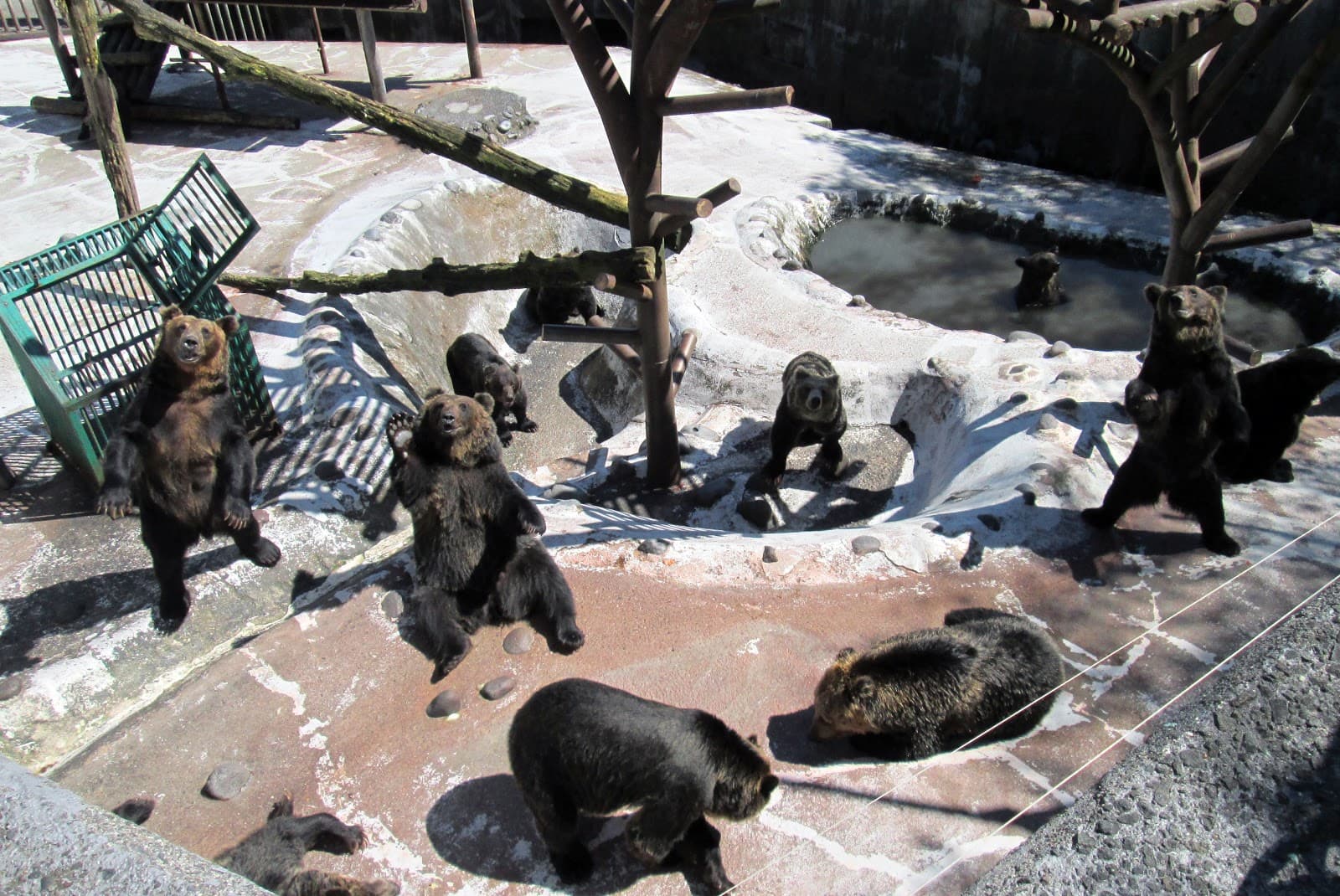 Noboribetsu Bear Park Noboribetsu Japan - Image 1