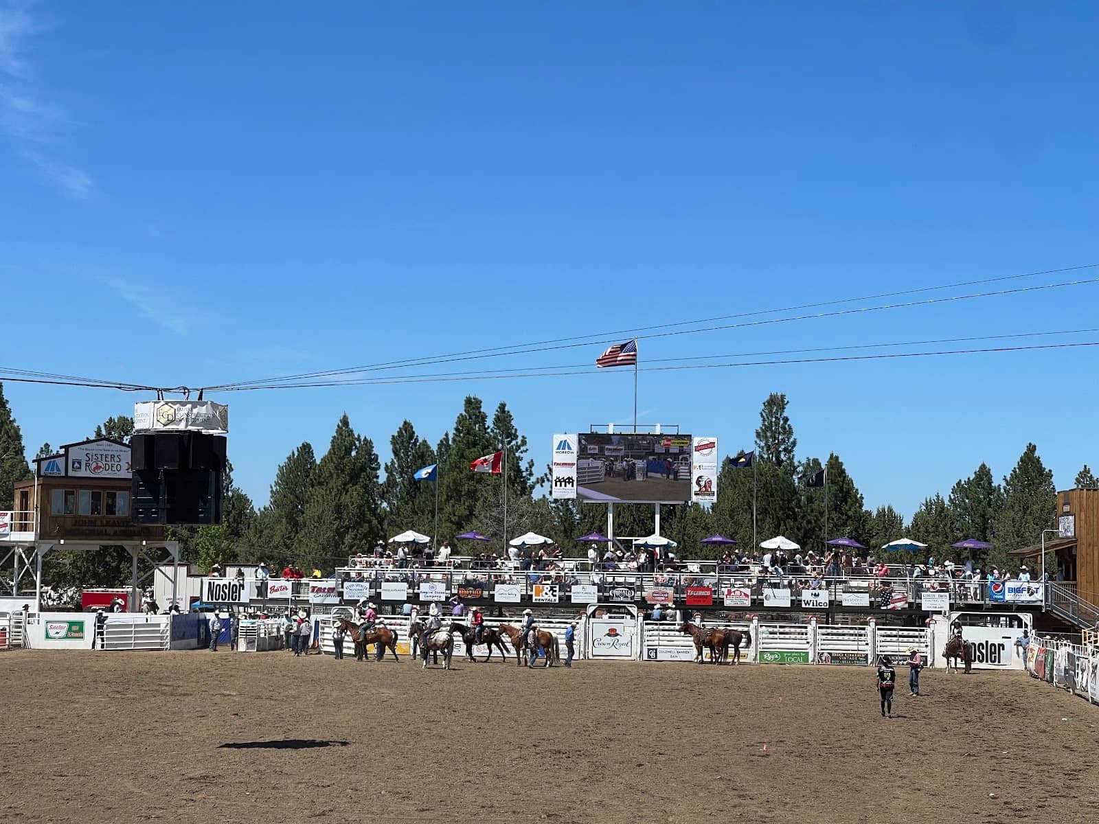 JJ Harrison, Rodeo Clown