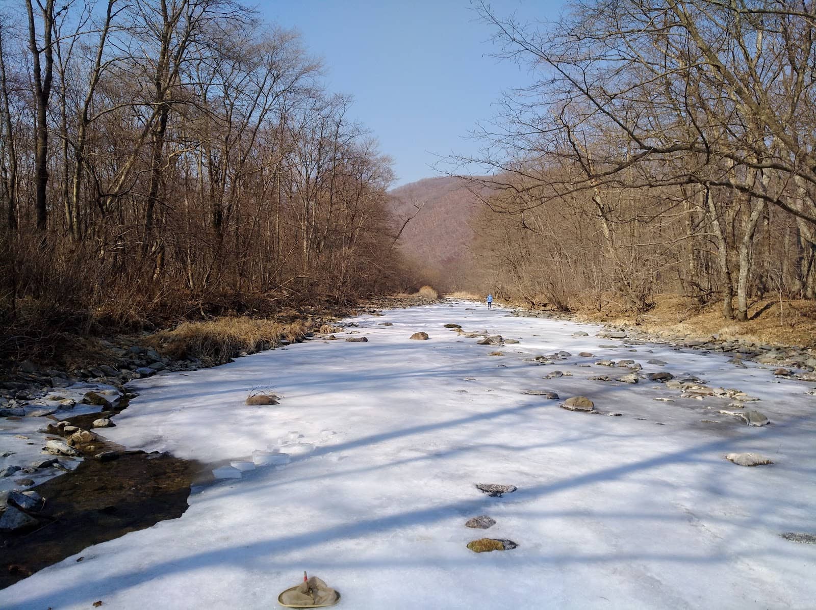 Diverse Natural Beauty