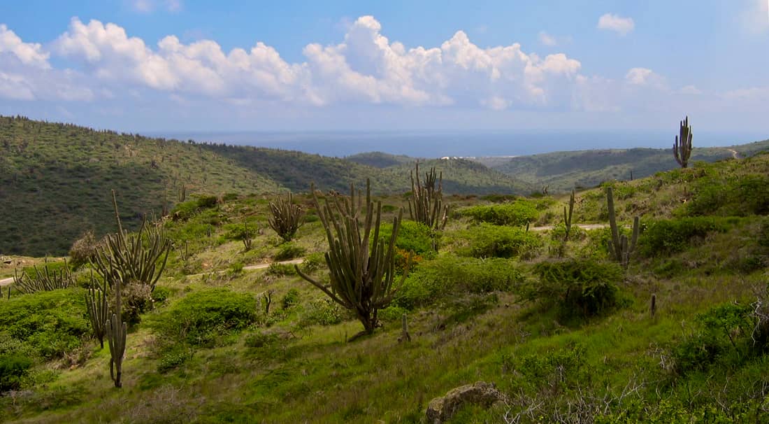 Arikok National Park Scenery