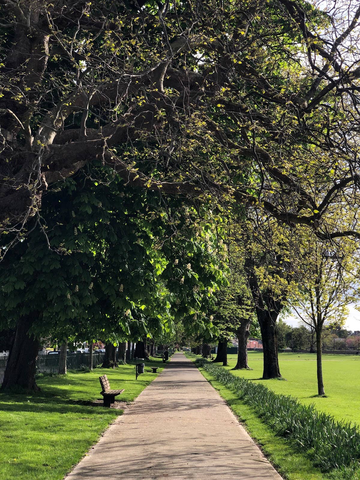 Mature Trees and Gardens