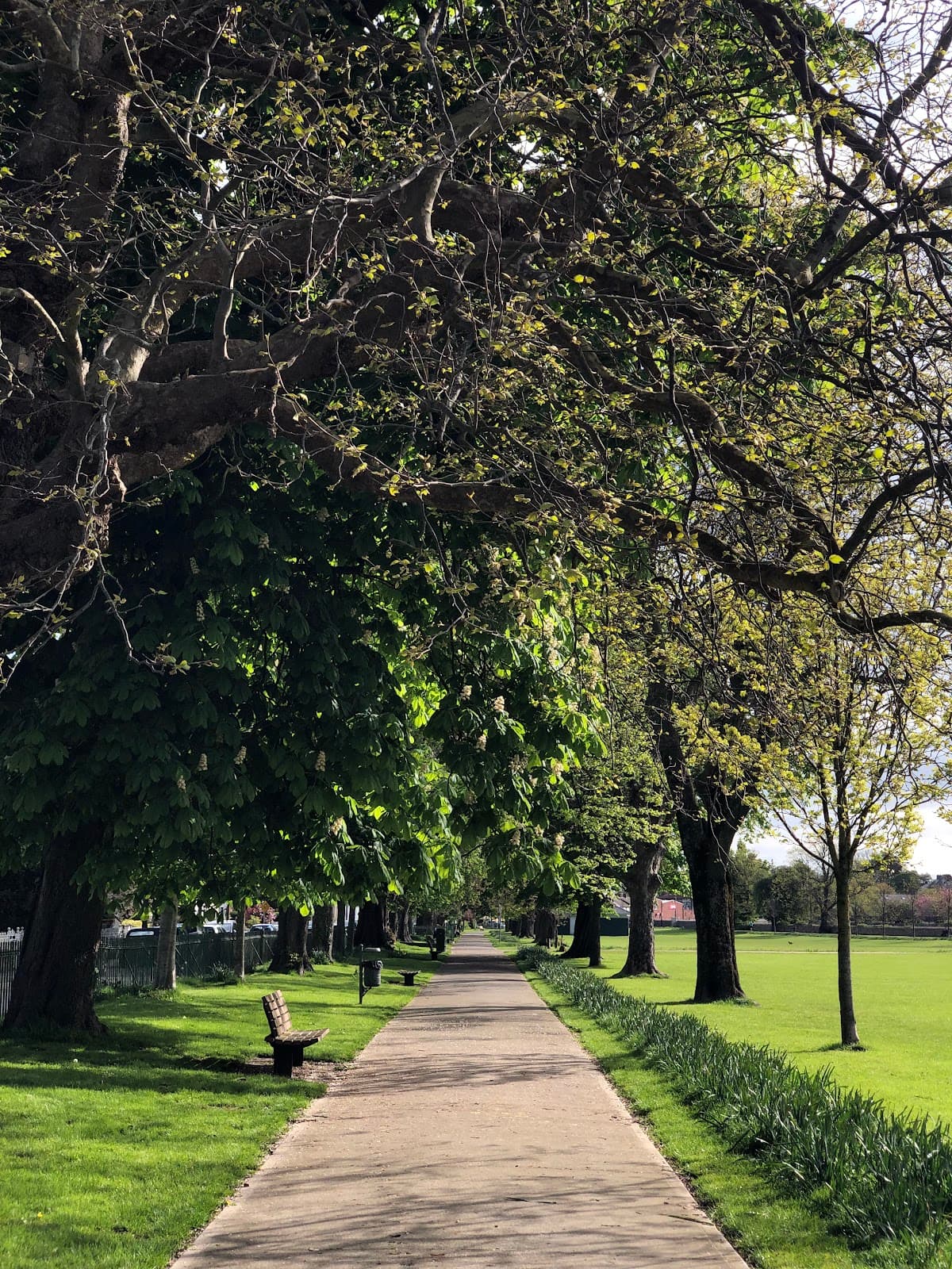 Bray People's Park - Image 1